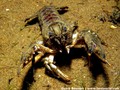 foto de buceo