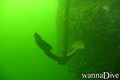 foto de buceo