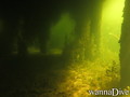 foto de buceo