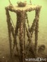foto de buceo