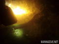 foto de buceo
