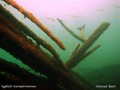 foto de buceo