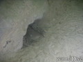 foto de buceo