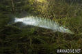 foto de buceo