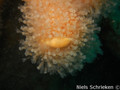 foto de buceo
