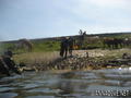 foto de buceo