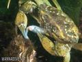 foto de buceo