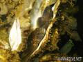 foto de buceo