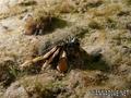 foto de buceo