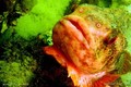foto de buceo