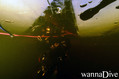 foto de buceo