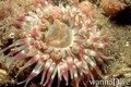 foto de buceo