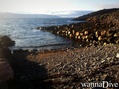 foto de buceo