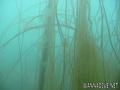 foto de buceo