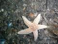 foto de buceo
