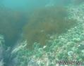 foto de buceo