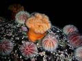 foto de buceo