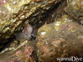 foto de buceo