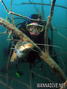 foto de buceo