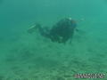 foto de buceo