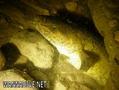foto de buceo