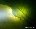 foto de buceo