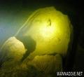 foto de buceo