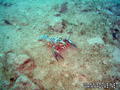 foto de buceo