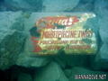 foto de buceo