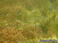 foto de buceo