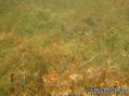 foto de buceo