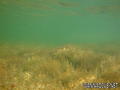 foto de buceo