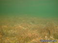 foto de buceo