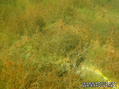 foto de buceo