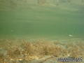 foto de buceo