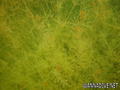 foto de buceo