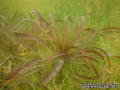 foto de buceo