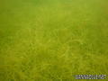 foto de buceo
