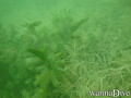 foto de buceo