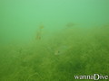 foto de buceo