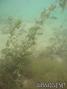 foto de buceo