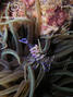 foto de buceo