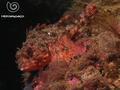 foto de buceo