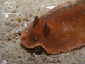 foto de buceo
