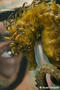 foto de buceo