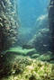 foto de buceo