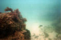 foto de buceo