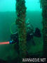 foto de buceo