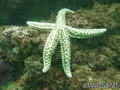 foto de buceo
