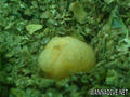 foto de buceo